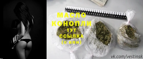 молекула духа Богородицк