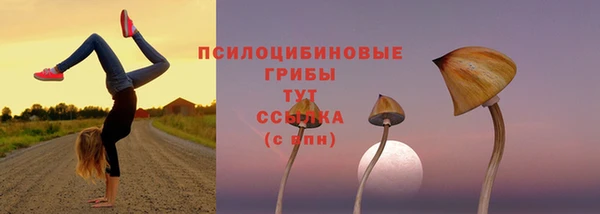 молекула духа Богородицк
