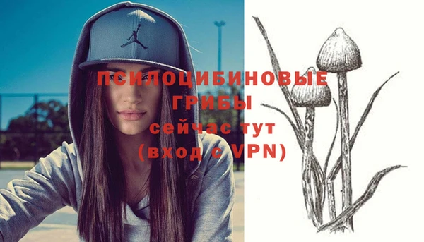 MDMA Богданович