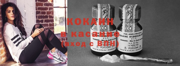 молекула духа Богородицк